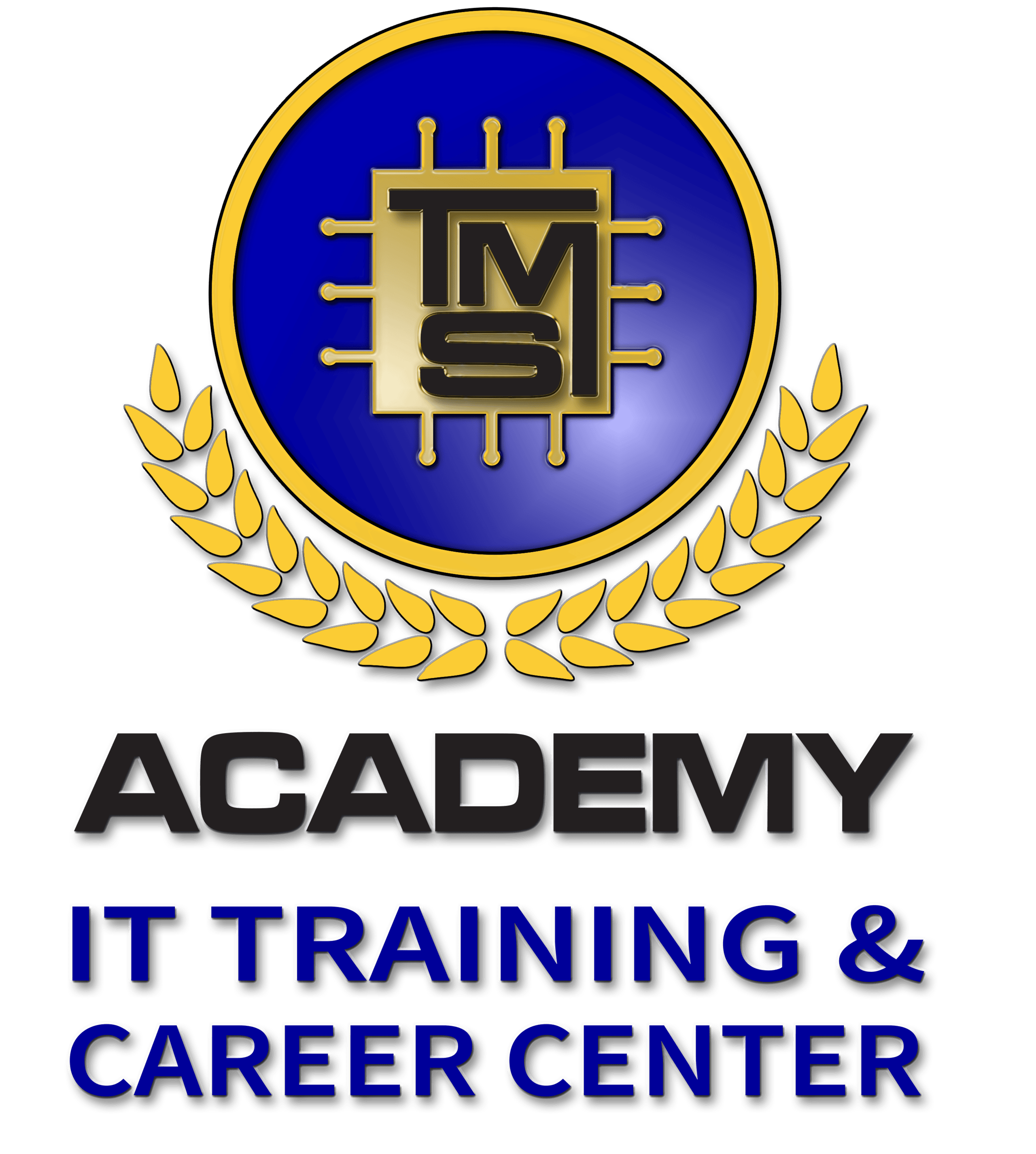 TMS Academy IT Education & Career Center