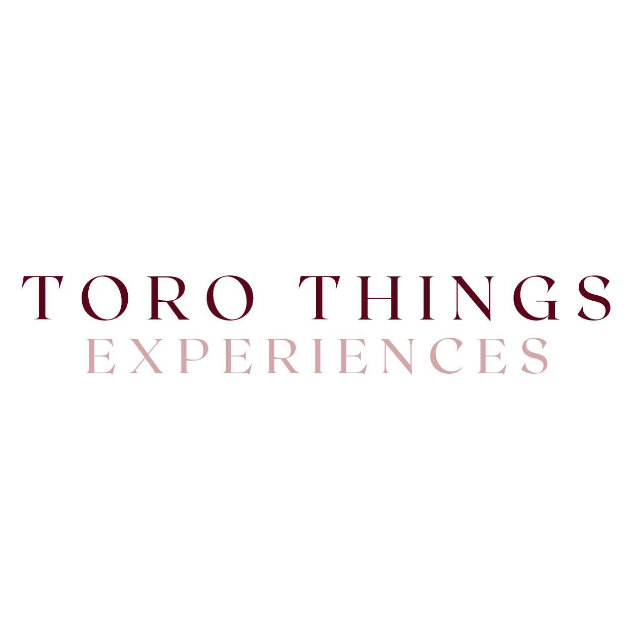 Toro Things Experiences
