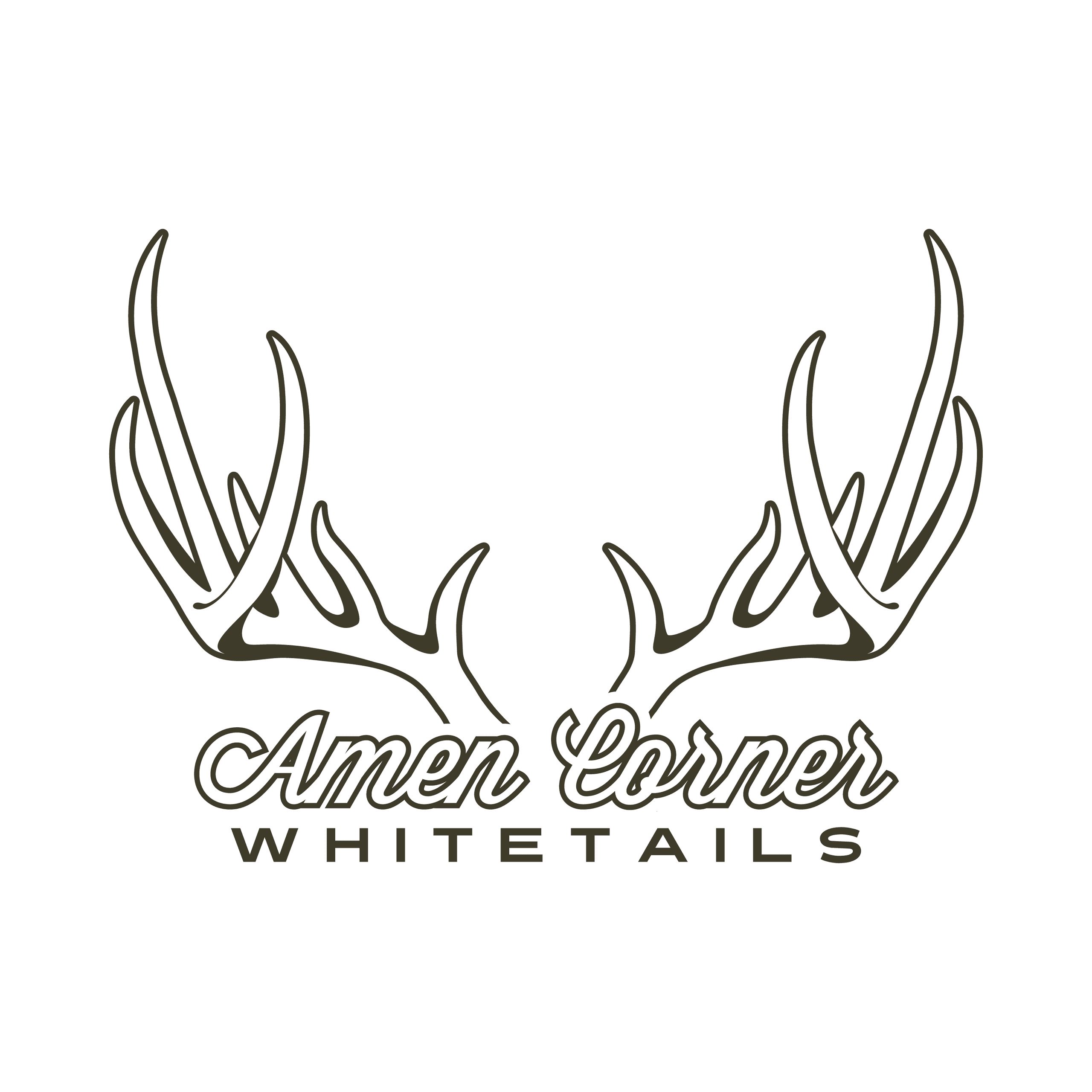 Amen Corner Whitetails