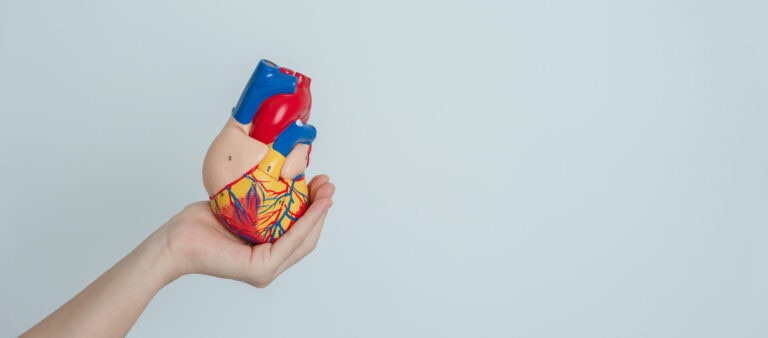 Ascension St. Vincent’s Riverside Offers FDA-Approved Pulsed Field Ablation Treatment for AFib Patients