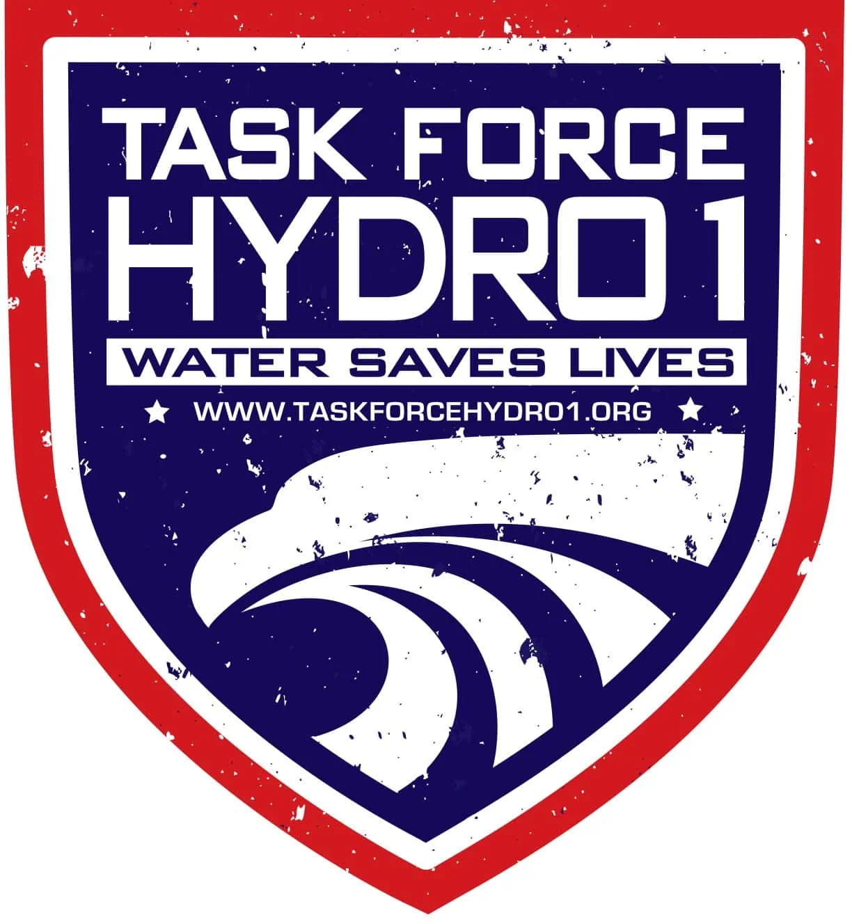Task Force Hydro1 (TFH1)