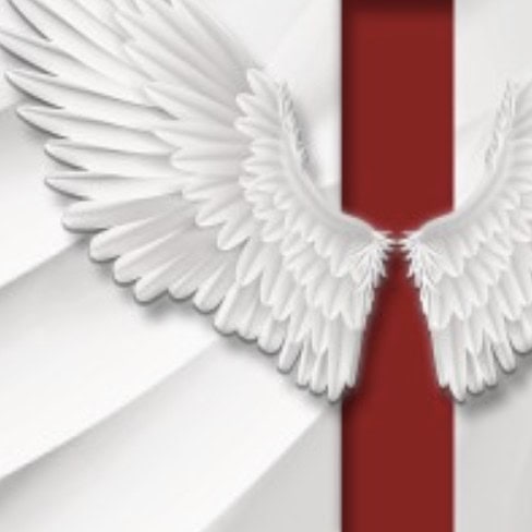 Almighty Wings Productions LLC