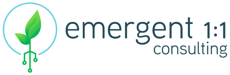 Emergent 1:1 Consulting