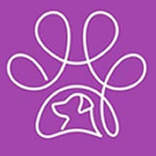 Zetawiz Technologies