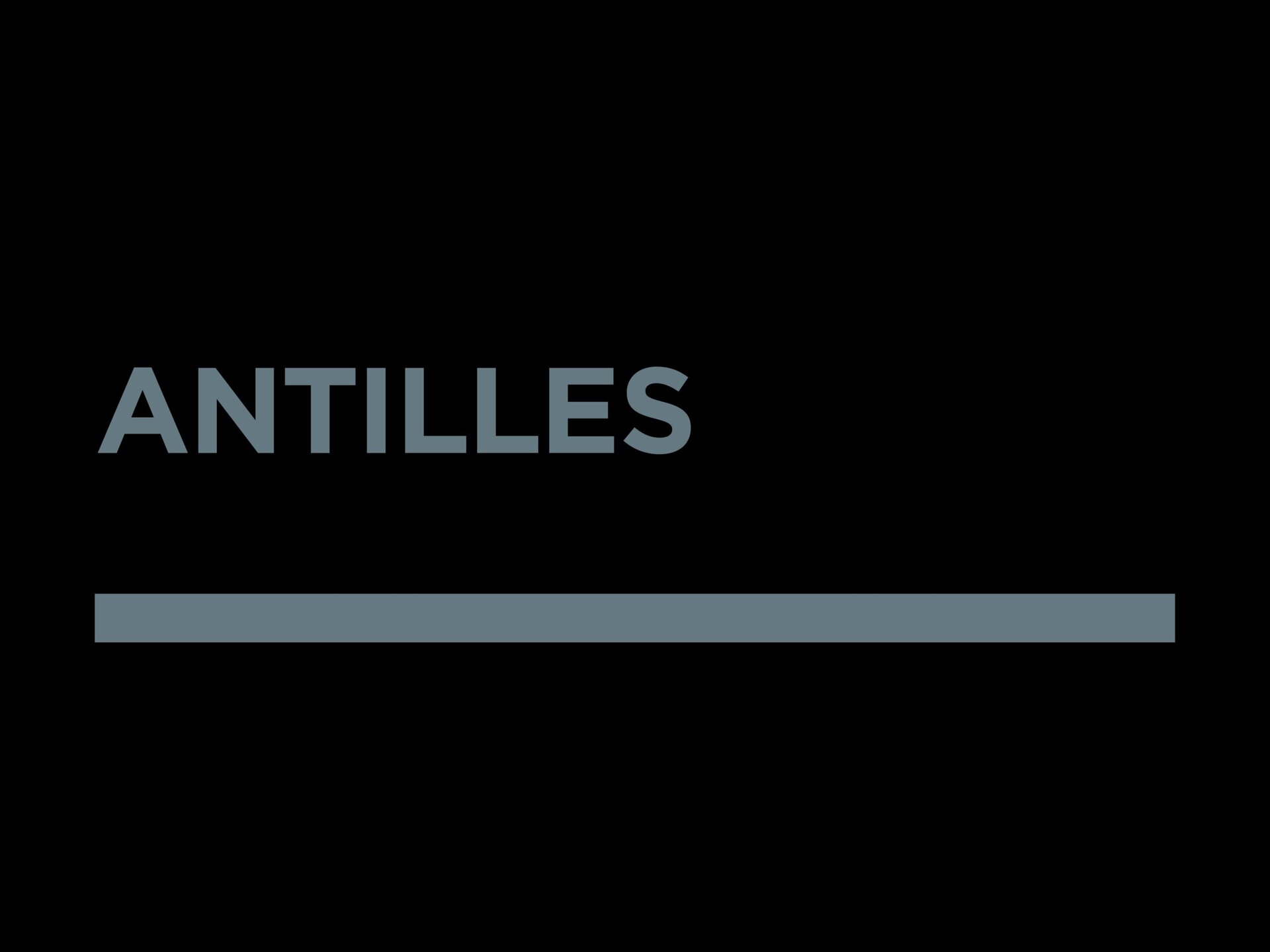 Beatriz Navarro Goudie, Antilles Realty