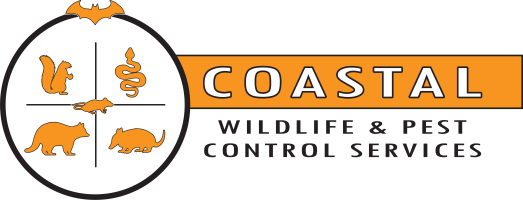 Corrected-Artboard-Logo
