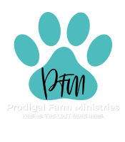 TealWhite-Color-Logo